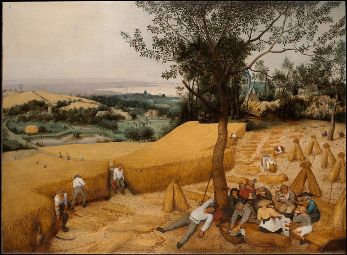 A wide summer landscape of golden wheat: in the foreground harvesters eat and rest under a pear tree, one man sprawled asleep, while others scythe and bind sheaves, and the land falls away to a village, a church and a hazy bay.
