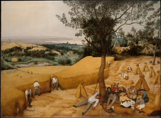 A wide summer landscape of golden wheat: in the foreground harvesters eat and rest under a pear tree, one man sprawled asleep, while others scythe and bind sheaves, and the land falls away to a village, a church and a hazy bay.