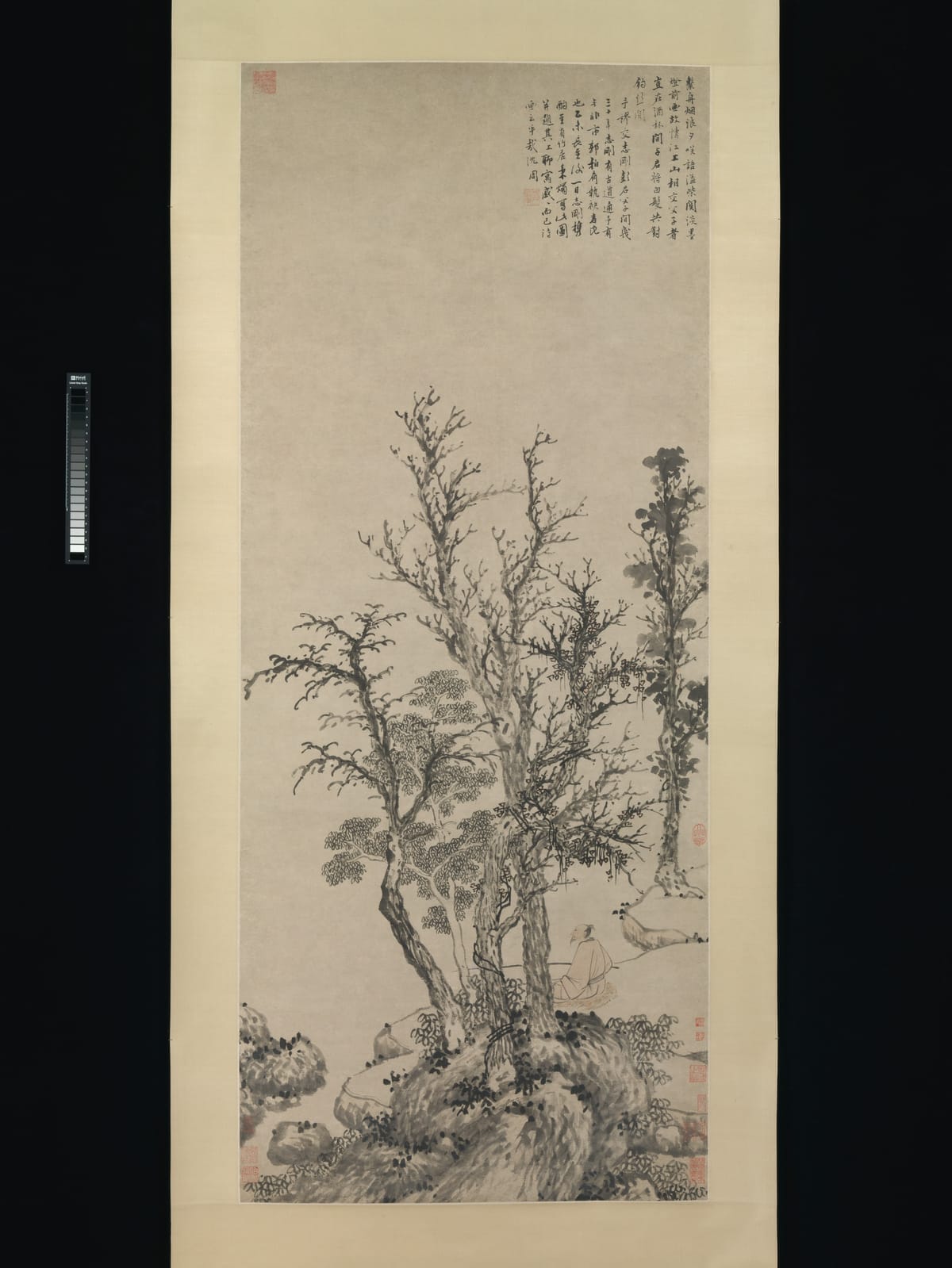Tall hanging scroll in ink and light colour on paper: a cluster of bare and sparsely leaved trees rises from rocks along a bank, with a few columns of handwritten inscription at the upper right.